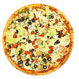 {{photo.Alt || photo.Description || 'Цезарио'}}